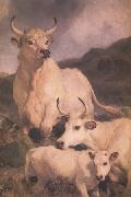 Sir Edwin Landseer Wild Cattle at Chillingham (nn03) oil painting picture wholesale